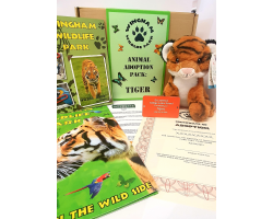 Tiger Adoption Gift Box (inc. delivery)