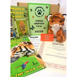 Tiger Adoption Gift Box (inc. delivery)