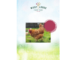 PET SHOP CHICKENS