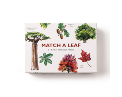 Match a Leaf memory game