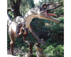 Velociraptor - Bob
