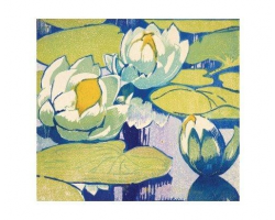 Water Lilies greetings card