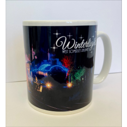 Winterlights Mug